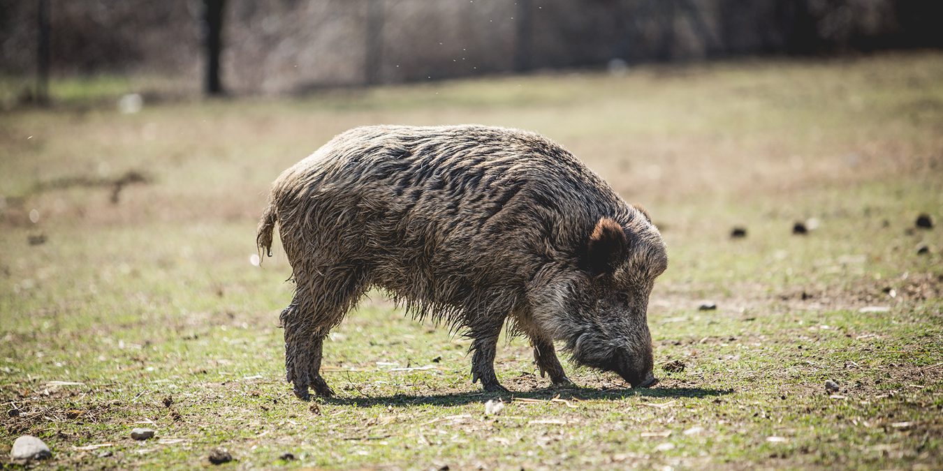 rifugio-miletta-20190323-113641-3K2A2529