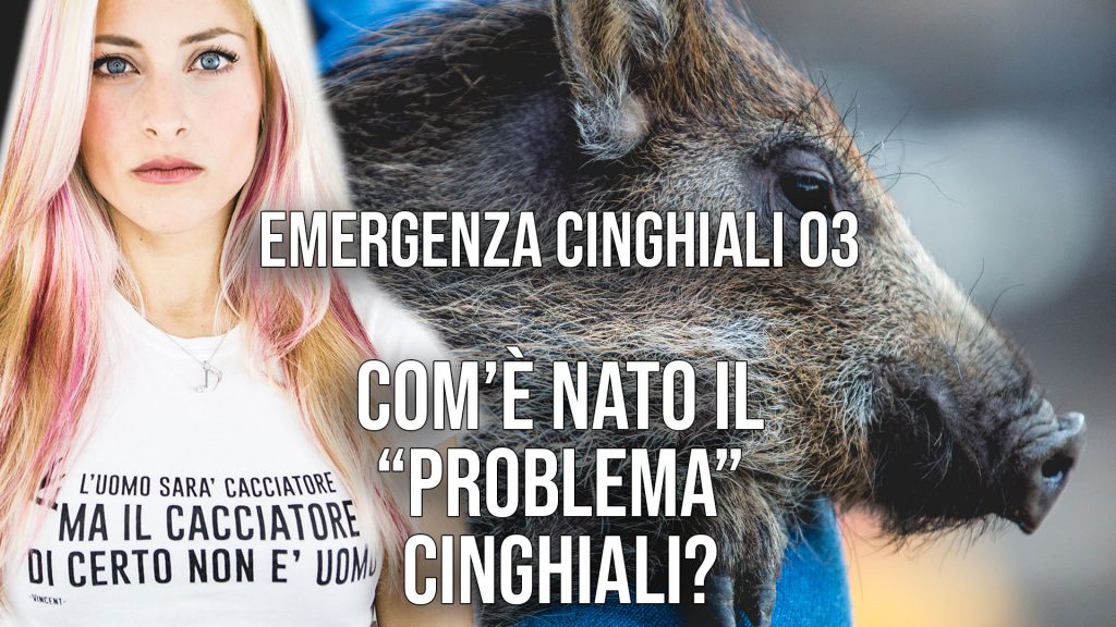 03 - Com'è nato il problema cinghiali?