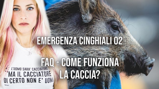 FAQ - Come funziona la caccia?