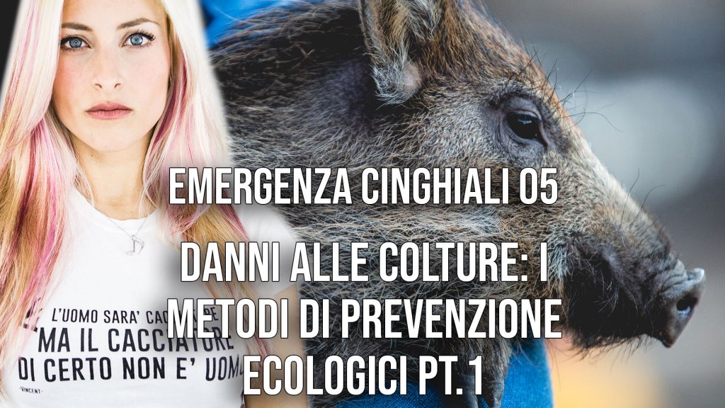 Danni alle colture: i metodi di prevenzione ecologici Pt. 1