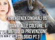 Danni alle colture: i metodi di prevenzione ecologici Pt. 1
