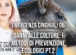 Danni alle colture: i metodi di prevenzione ecologici Pt. 2