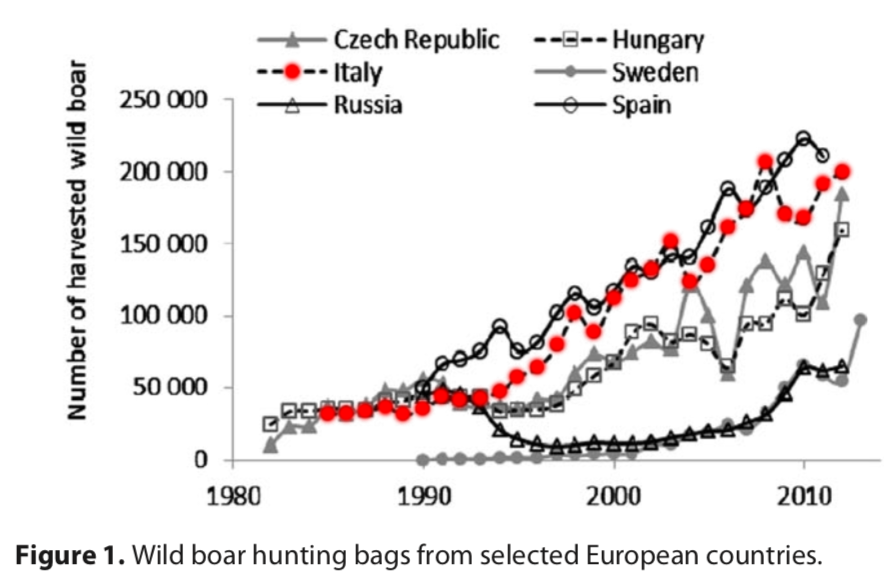 Massei G., J. Kindberg, A. Licoppe, D. Gačić, N. Šprem, J. Kamler, E. Baubet, U. Hohmann, A. Monaco, J. Ozoliņš, S. Cellina, T. Podgórski, C. Fonseca, N. Markov, B. Pokorny, C. Rosell & A. Náhlik 2015. Wild boar populations up, numbers of hunters down? A review of trends and implications for Europe. Pest Management Science 71 (4): 492-500). Nonostante il numero di cinghiali ammazzati cresca di anno in anno, cresce anche la loro popolazione (Grafico 2, Massei Pest Management