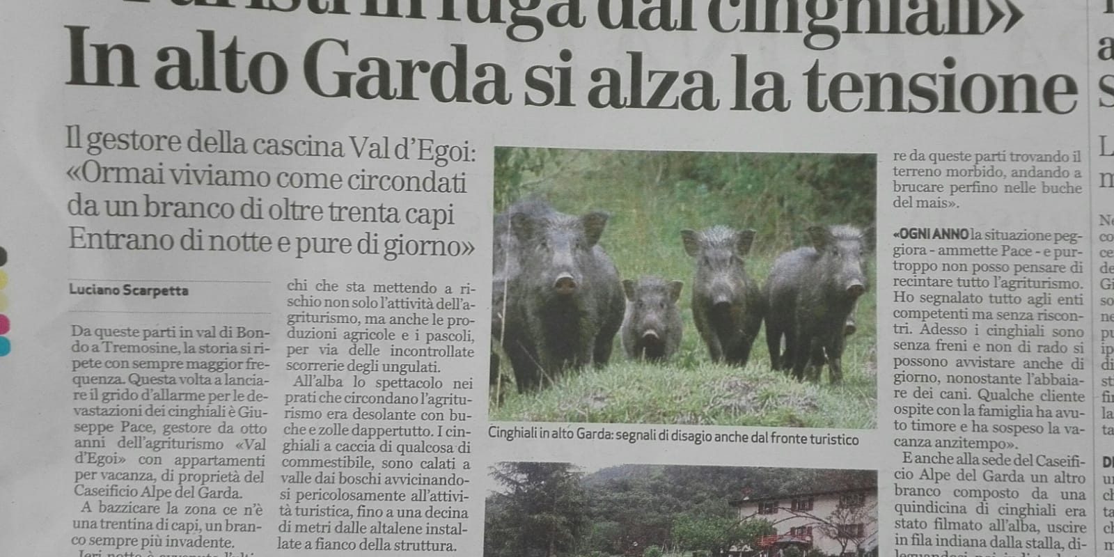 Brescia Oggi – 29 Maggio 2019 – Turisti scappano dai cinghiali Brescia Oggi - 29 Maggio 2019 - Turisti scappano dai cinghiali