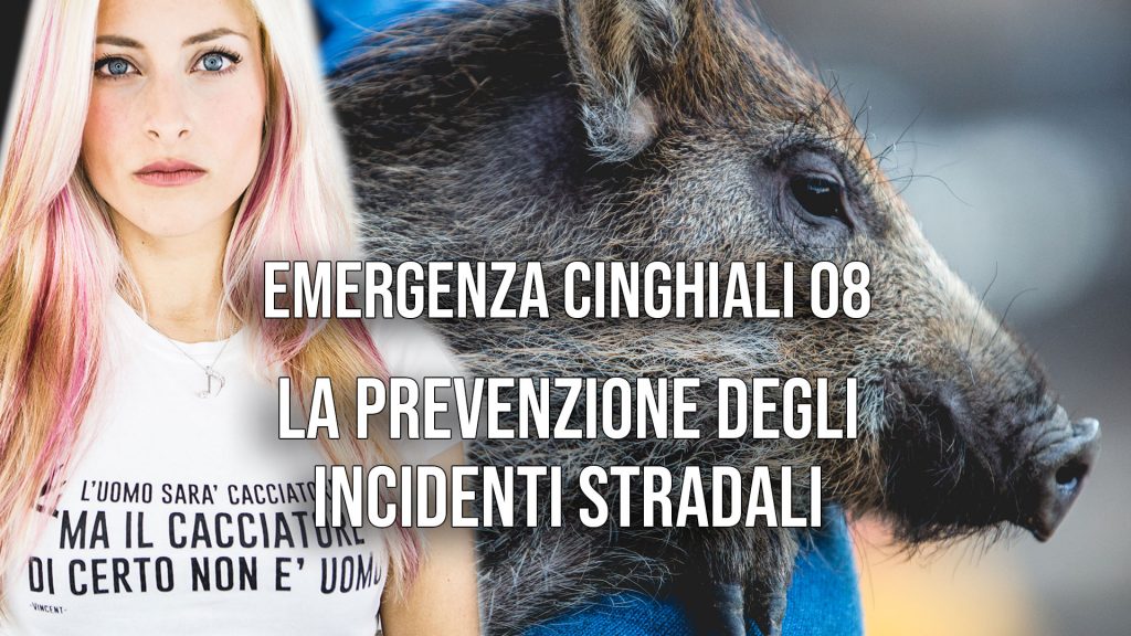 EC08 - La prevenzione degli incidenti stradali