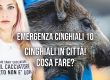 EC10 - Cinghiali in città! Come fare?