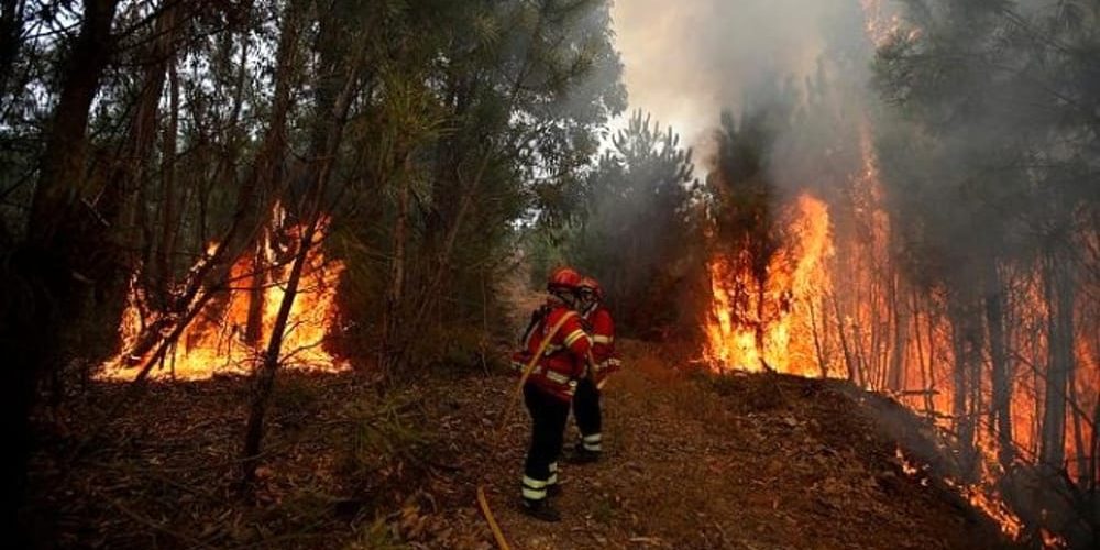Cacciatori incendiano bosco in provincia di Caserta
