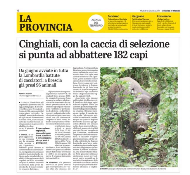 Business del cinghiale 1/2
