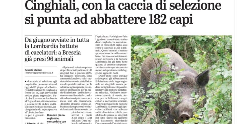 Business del cinghiale 1/2 Business del cinghiale 1/2