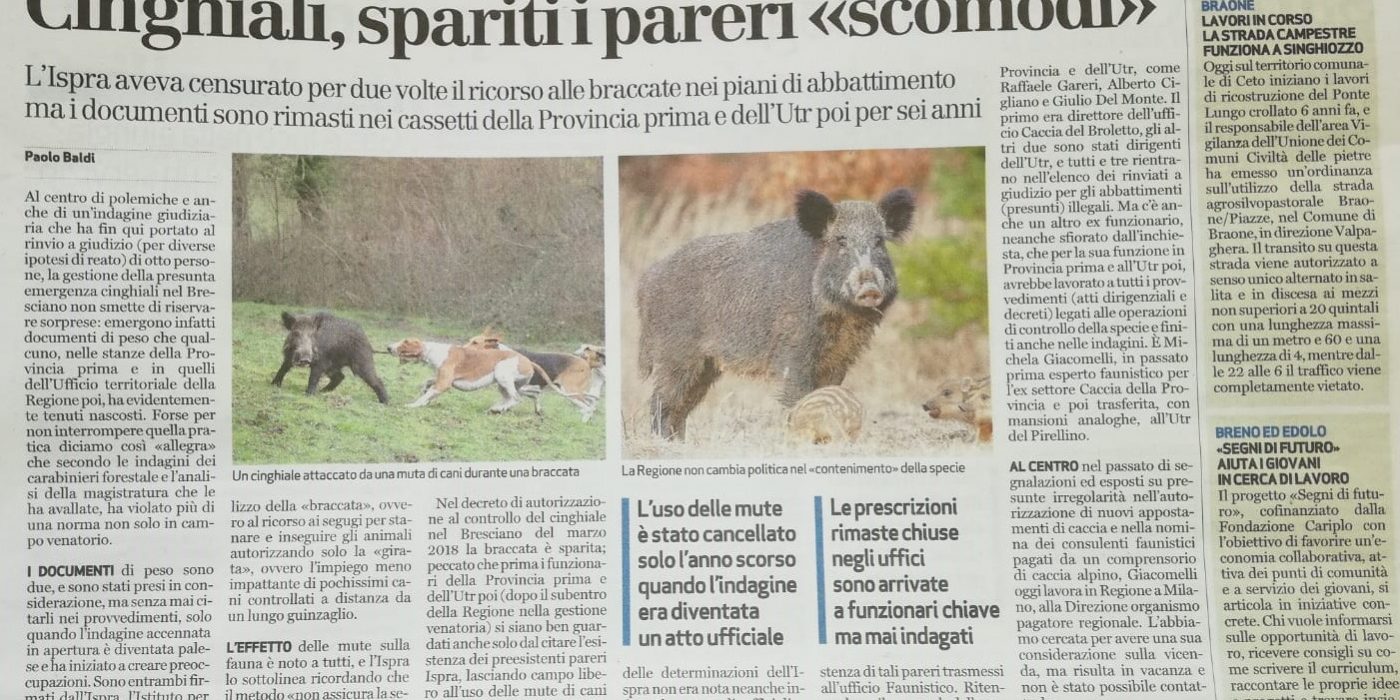 Emergenza Cingliali Lombardia: tecnici faunistici nascondono pareri ISPRA negativi Emergenza Cingliali Lombardia: tecnici faunistici nascondono pareri ISPRA negativi