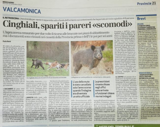 Emergenza Cingliali Lombardia: tecnici faunistici nascondono pareri ISPRA negativi