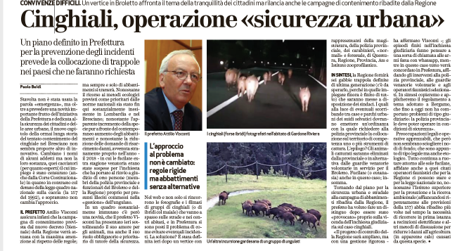 Cinghiali Brescia, operazione sicurezza stradale