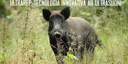 Ultrarep-tecnologia ad ultrasuoni