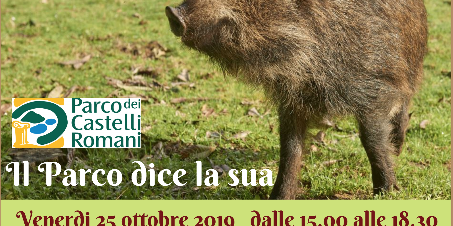Parco Castelli Romani: Incontro formativo sulla convivenza con il cinghiale