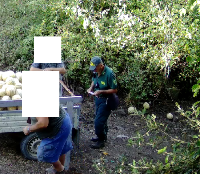 Capo caccia e vice capo caccia denunciati per foraggiamento abusivo